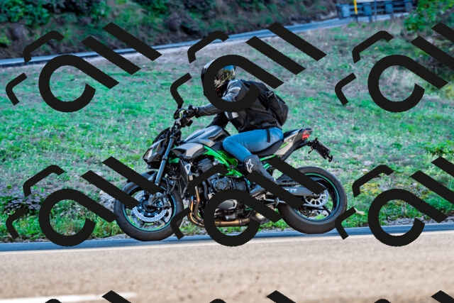 202509211024-DSC_2411_d2_