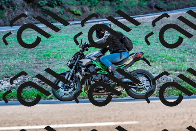 202509211024-DSC_2412_d2_