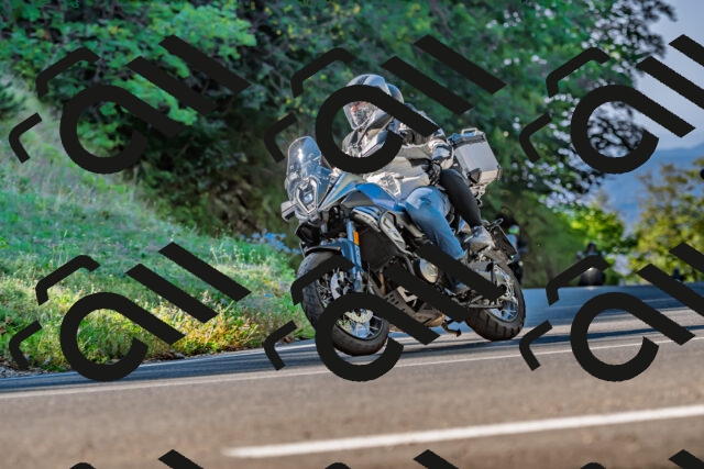 202509211024-DSC_2418_d2_