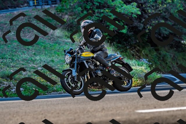 202509211024-DSC_2421_d2_