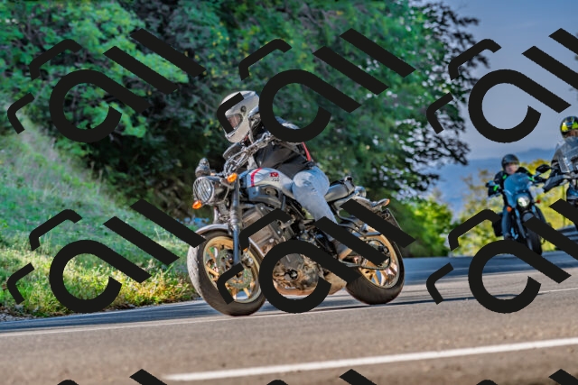 202509211024-DSC_2424_d2_