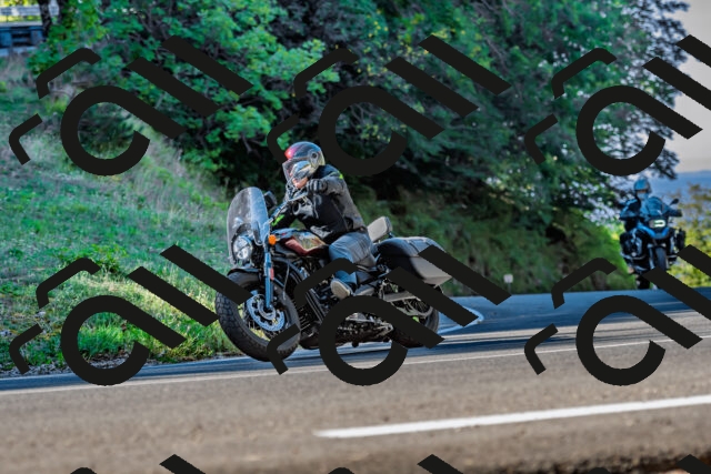 202509211024-DSC_2428_d2_