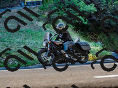 202509211024-DSC_2429_d2_