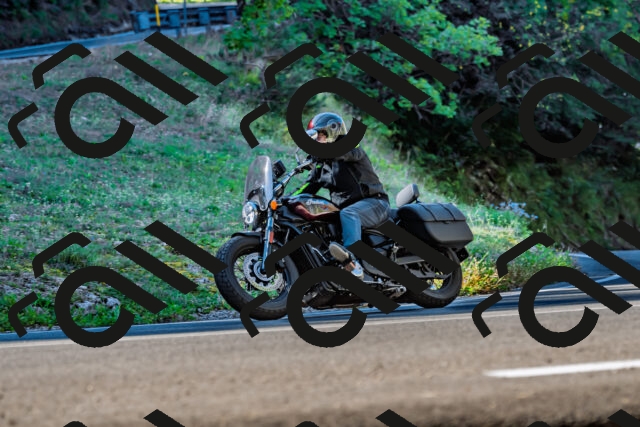 202509211024-DSC_2429_d2_