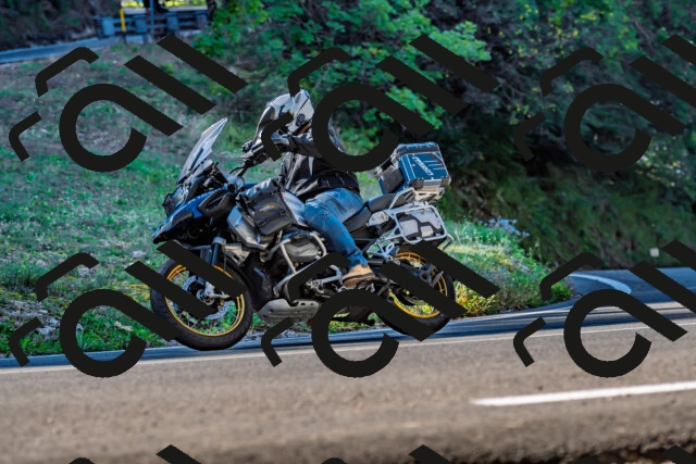 202509211025-DSC_2431_d2_