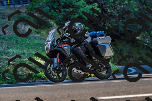 202509211026-DSC_2435_d2_