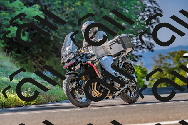 202509211027-DSC_2441_d2_