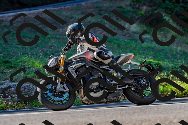 202509211031-DSC_2453_d2_