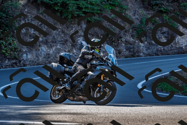 202509211032-DSC_2462_d2_