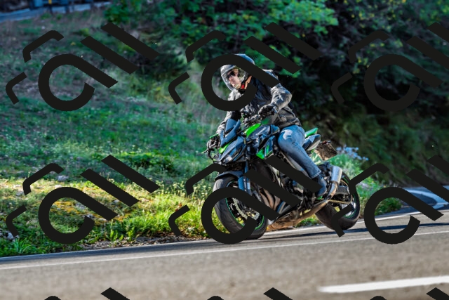 202509211032-DSC_2472_d2_