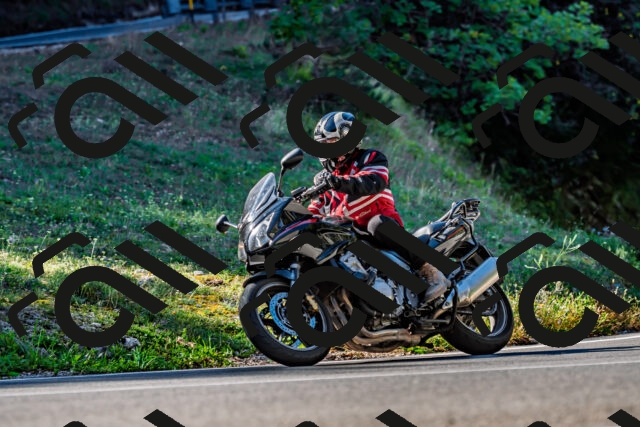 202509211034-DSC_2484_d2_