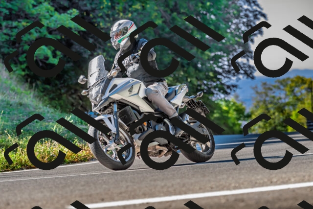 202509211034-DSC_2491_d2_