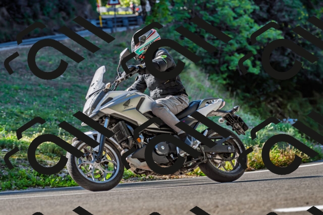 202509211034-DSC_2492_d2_