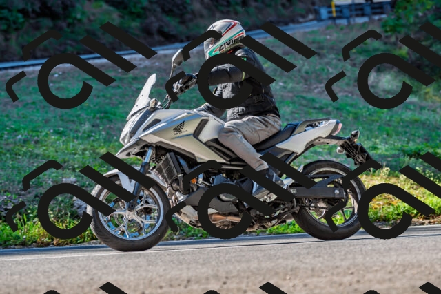 202509211034-DSC_2493_d2_