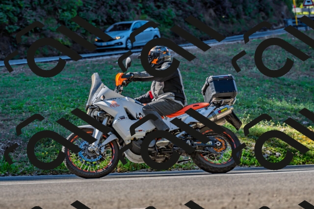 202509211035-DSC_2499_d2_