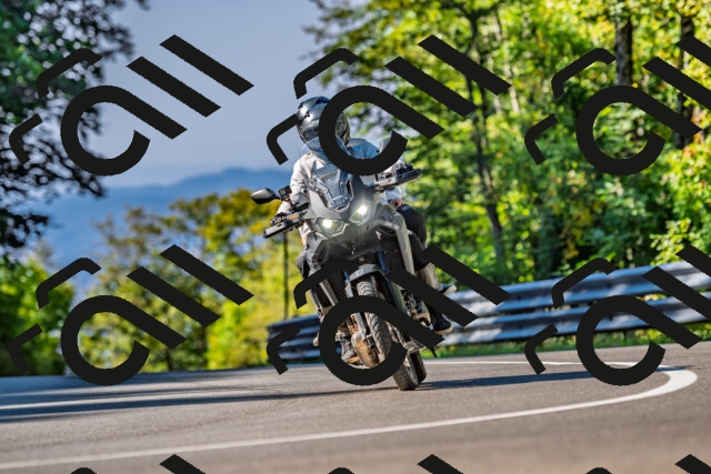 202509211035-DSC_2500_d2_