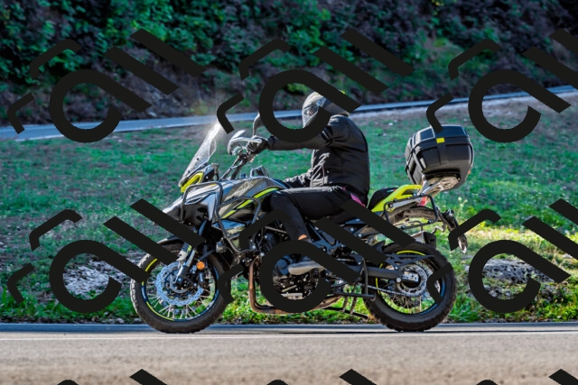 202509211038-DSC_2531_d2_