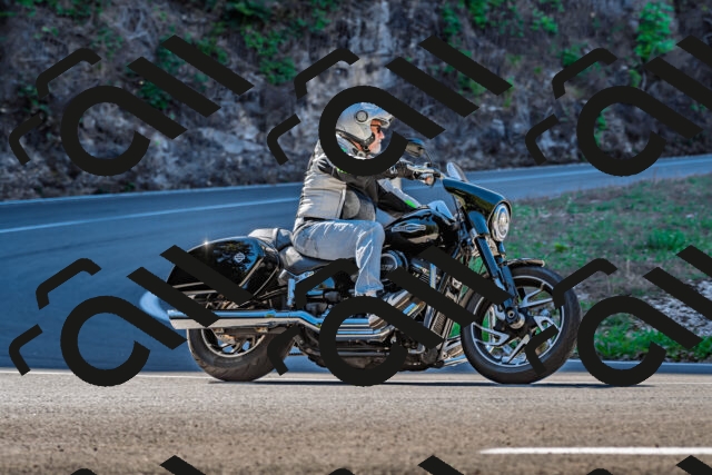 202509211040-DSC_2541_d2_