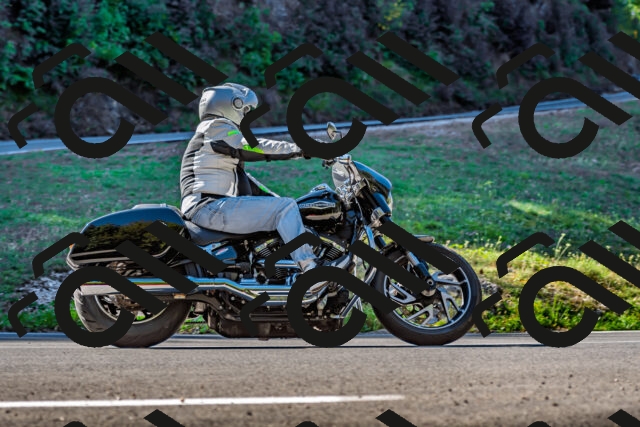 202509211040-DSC_2543_d2_