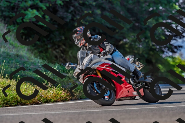 202509211040-DSC_2545_d2_