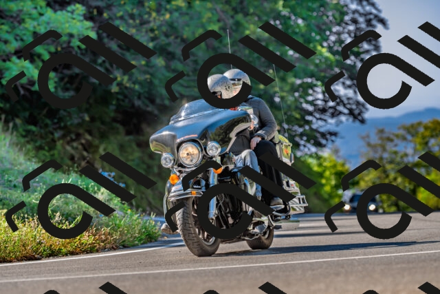 202509211041-DSC_2548_d2_