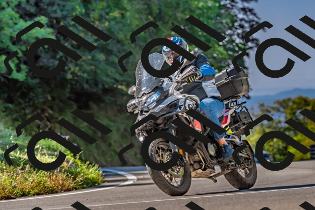 202509211046-DSC_2554_d2_