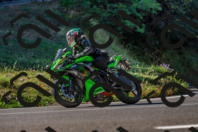 202509211047-DSC_2558_d2_