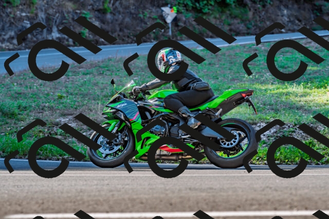 202509211047-DSC_2560_d2_