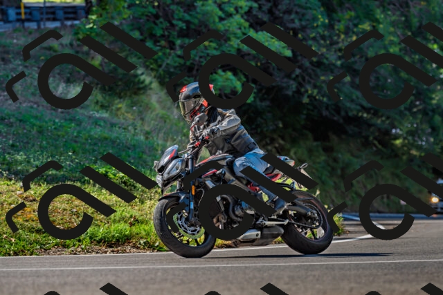 202509211049-DSC_2563_d2_