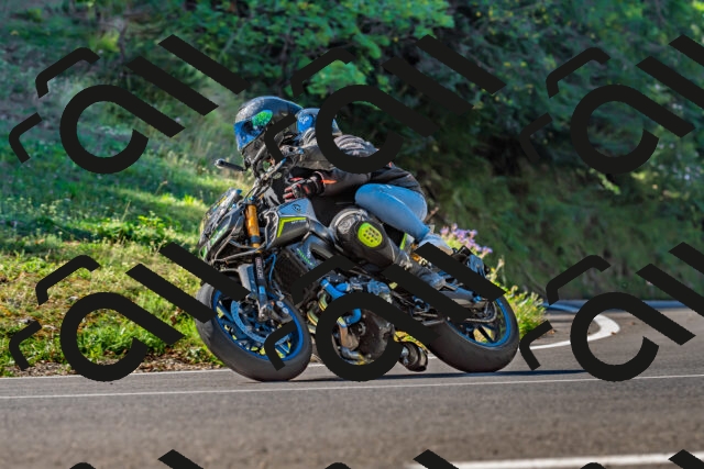 202509211052-DSC_2576_d2_