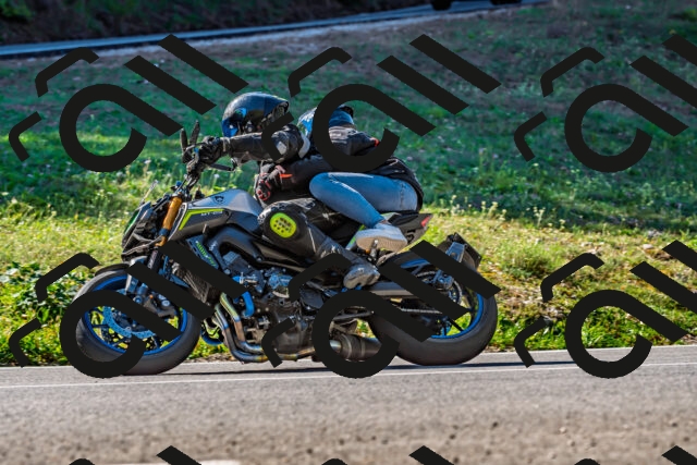 202509211052-DSC_2577_d2_