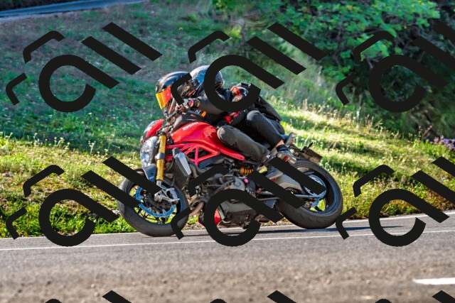 202509211052-DSC_2586_d2_