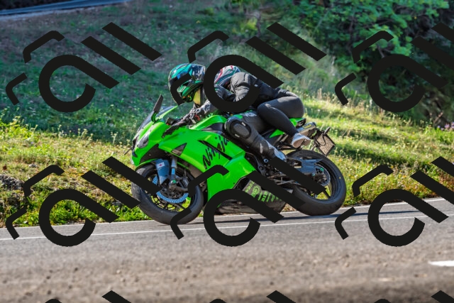 202509211052-DSC_2588_d2_