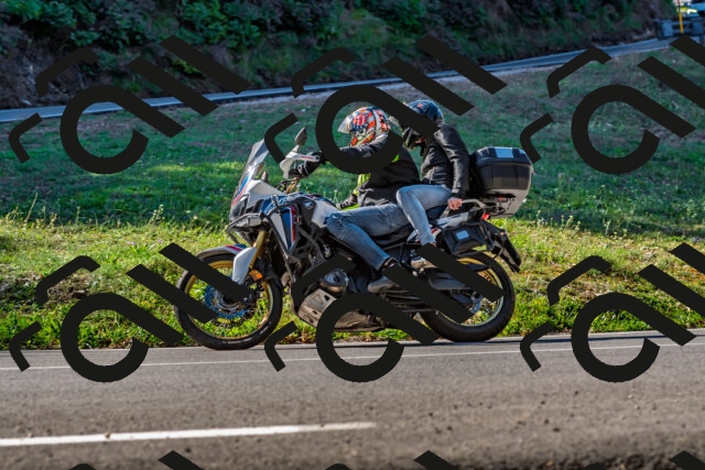 202509211053-DSC_2604_d2_