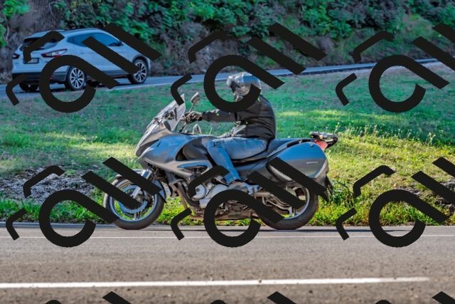 202509211053-DSC_2612_d2_