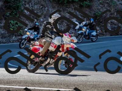 202509211056-DSC_2618_d2_