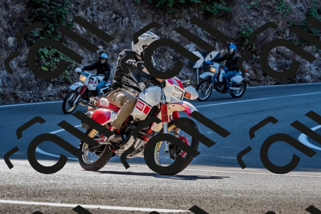 202509211056-DSC_2618_d2_