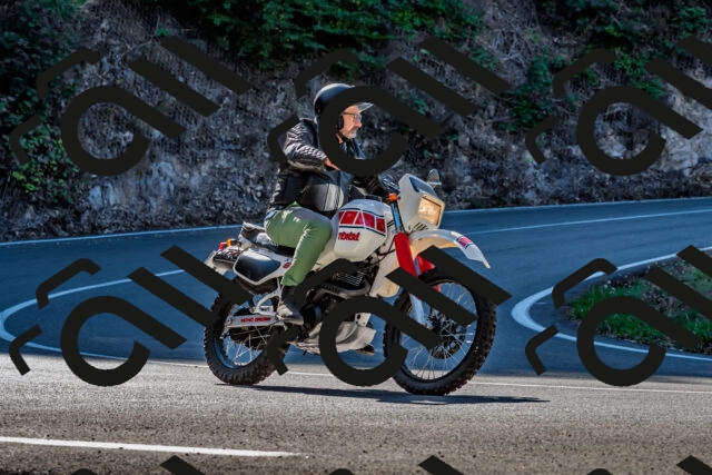 202509211056-DSC_2621_d2_