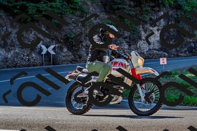 202509211056-DSC_2622_d2_