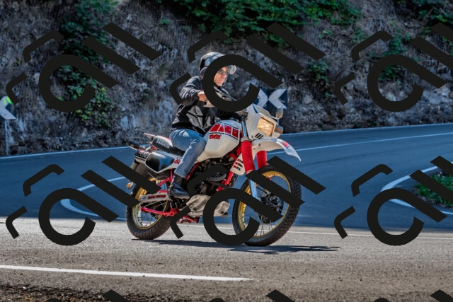 202509211056-DSC_2623_d2_