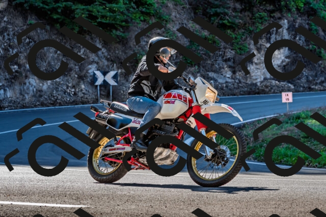 202509211056-DSC_2624_d2_