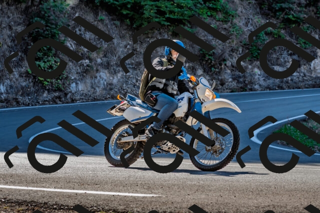 202509211056-DSC_2625_d2_