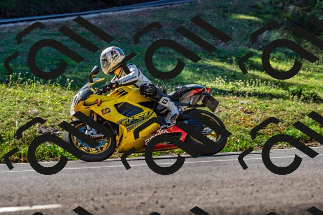 202509211058-DSC_2631_d2_