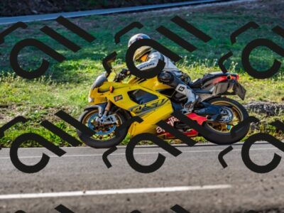 202509211058-DSC_2632_d2_