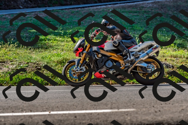 202509211058-DSC_2634_d2_