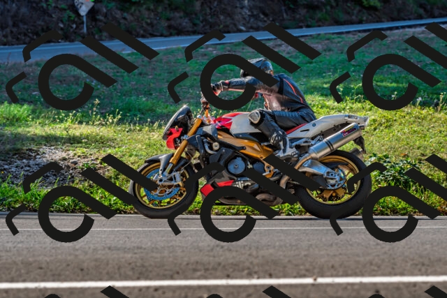 202509211058-DSC_2635_d2_