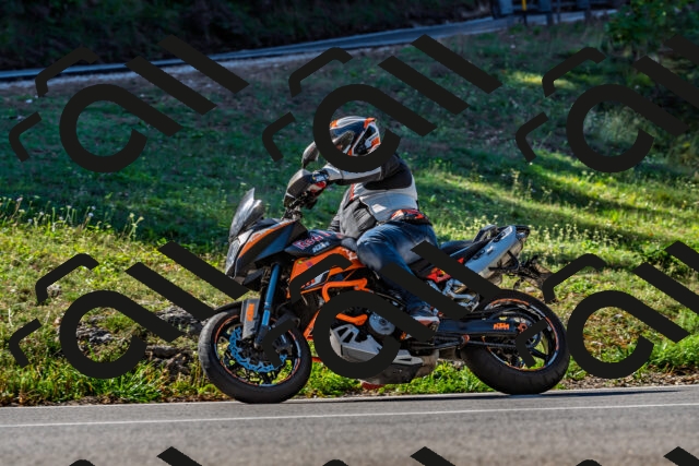 202509211059-DSC_2639_d2_