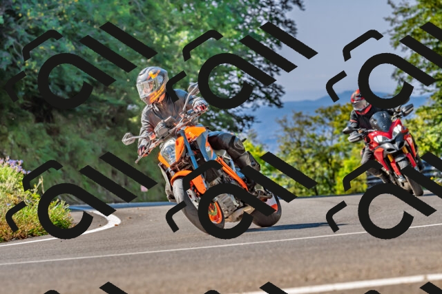 202509211059-DSC_2640_d2_