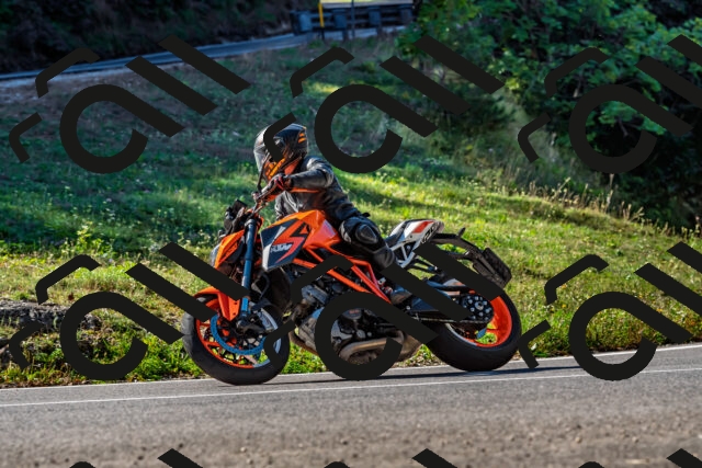 202509211059-DSC_2641_d2_