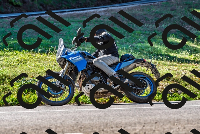 202509211059-DSC_2648_d2_